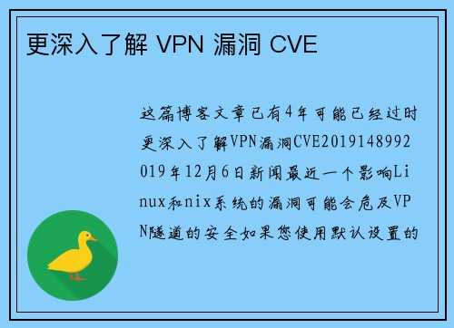 更深入了解 VPN 漏洞 CVE