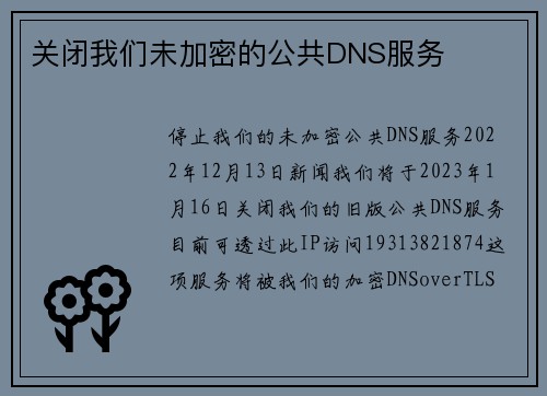关闭我们未加密的公共DNS服务 