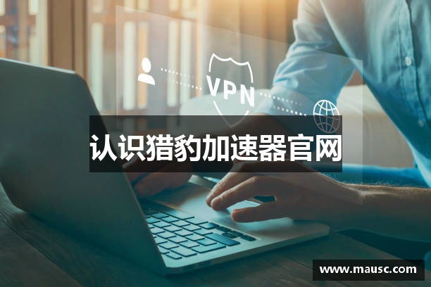 认识猎豹加速器官网
